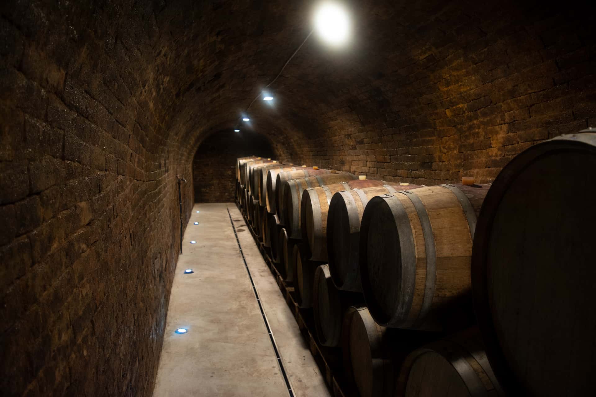Barrique cellar from Wine by S. Pratsch