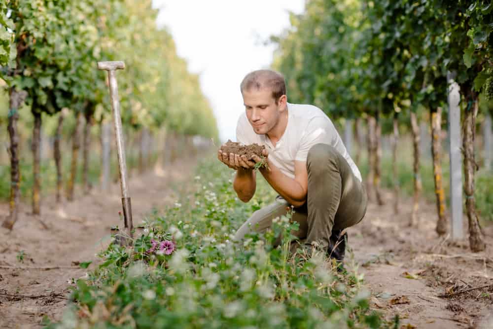 Stefan Pratsch mit Erde im Weingarten